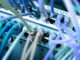 Monaco, réseau informatique ethernet wifi cablage routeur parefeu firewall, MONACOM